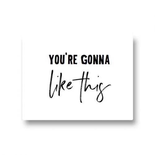 Stickers - You're Gonna Like This (5 Stuks)