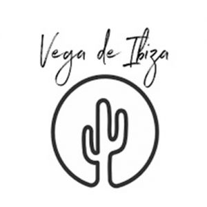 Vega Basics