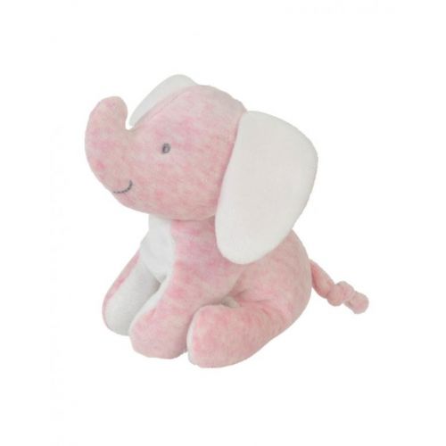 Olifant In Giftbox