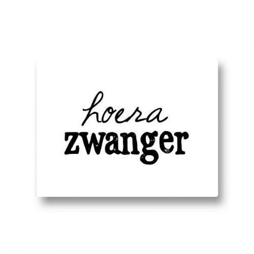 Stickers - Hoera Zwanger (5 Stuks)